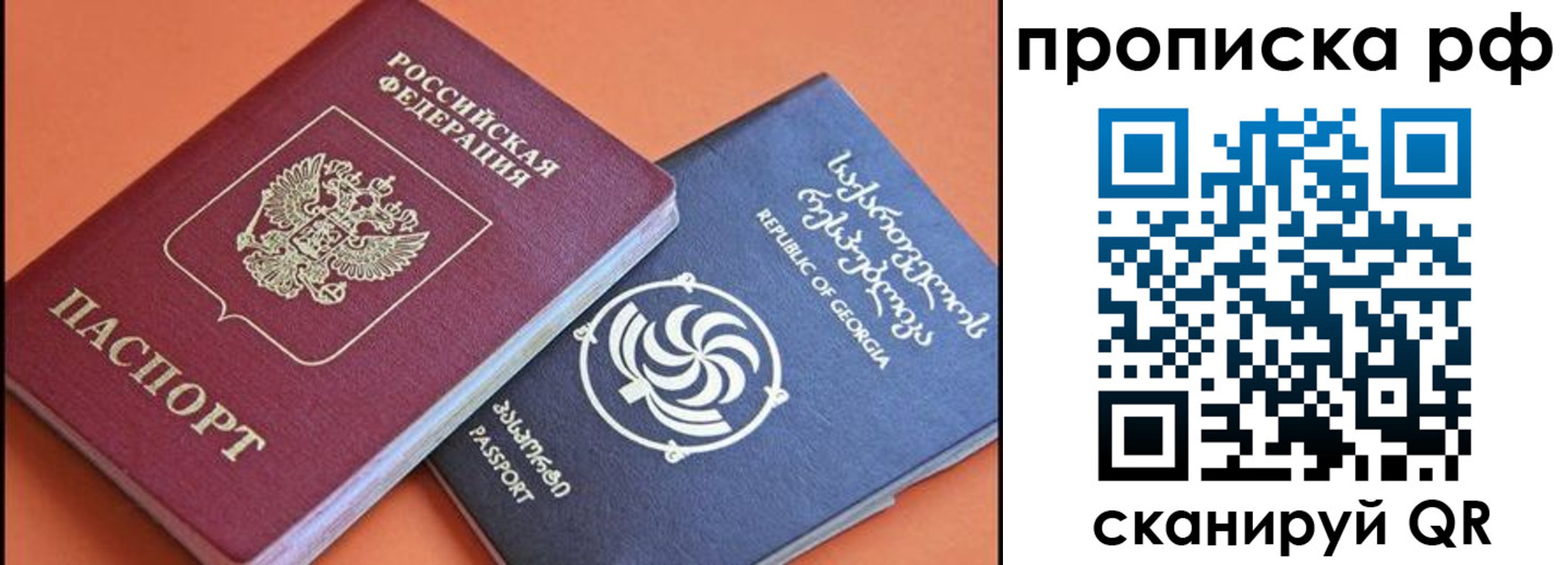 прописка поиск в Александрове